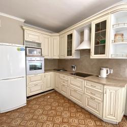 2-комнатные апартаменты стандарт 2-к. кв. ул. Подгорбунского 55 №29