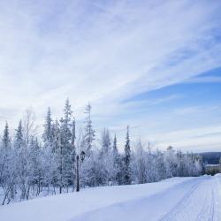 Фото Отель Лапландская деревня