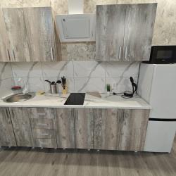 1-комнатные апартаменты студия Красной Армии 136/3