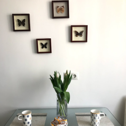 Фото Отель Рент на улице Толстого