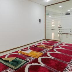 Фото Отель Hotel Shodlik (Шодлик)