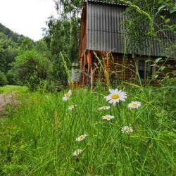 Фото Отель Турман