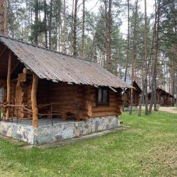 Фото Отель Деревня Берендеевка