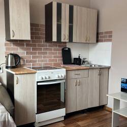 Фото Апартаменты на проспекте Ломоносова 83