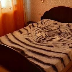 Номер эконом с 1 двуспальной кроватью