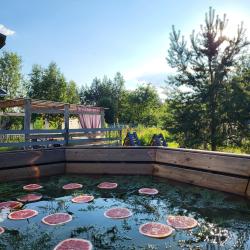Коттедж стандарт Чайка