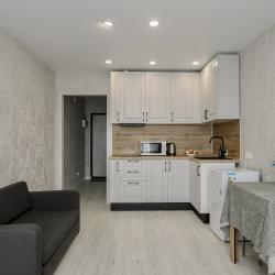 1-комнатные апартаменты студия