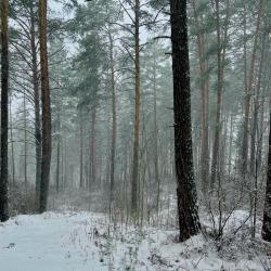 Фото Отель Путь Шамана