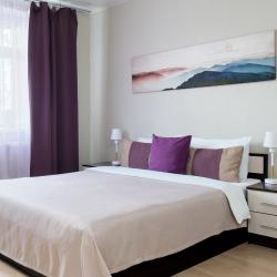 Фото Семейные апартаменты Elenahotel (Еленаотель) на проспекте Коломяжский 36/2