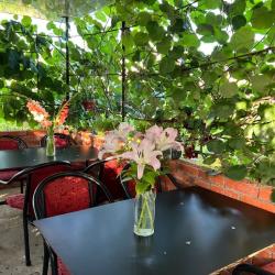 Фото Отель Гостевой дом на Адлейба