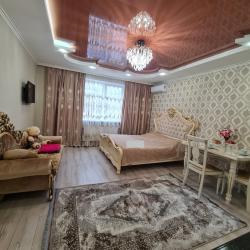 1-комнатные апартаменты студия