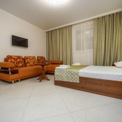 Номер стандарт с 1 двуспальной кроватью (цокольный этаж)