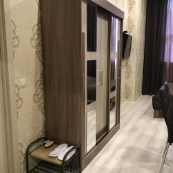 Номер полулюкс с 1 двуспальной кроватью