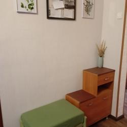 Фото Апартаменты на улице Дружинина 62