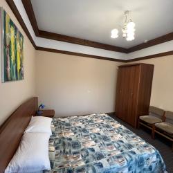 Номер полулюкс с 1 двуспальной кроватью