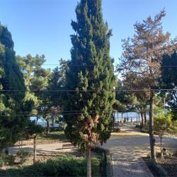 VK Hotel Royal (ВК Роял) — f97c87ba8bf23c1313f2f817e8b988a1