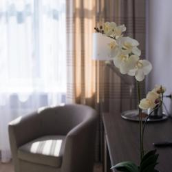 Номер стандарт с 1 двуспальной кроватью, 1 категория (с завтраком)