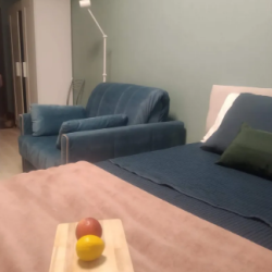 Фото Апартаменты на улице Чкалова 13