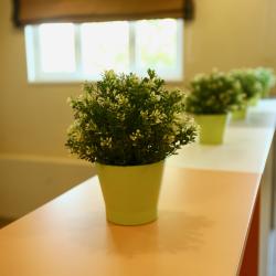 Фото Отель TK's House