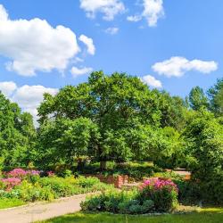 Фото Отель Санаторий Введенское