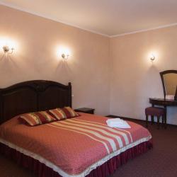 Номер полулюкс с 1 двуспальной кроватью