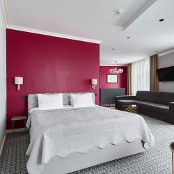 Номер студия премиум с 1 двуспальной кроватью