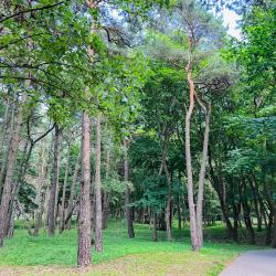 Фото Апартаменты на Комсомольском переулке