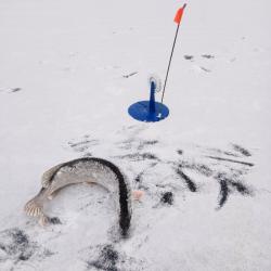 Фото Отель Аура