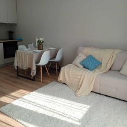 Апартаменты улучшенные Ахшарумова 25, 199