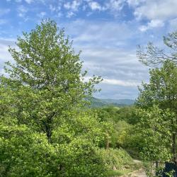 Фото Отель Горный каштан