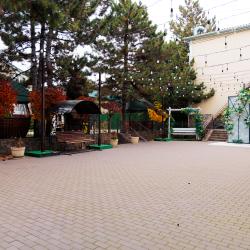 Эдельвейс — f9f15456551295bf5e1af448f698f505