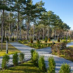 Фото Отель Movenpick Resort & Spa Anapa Miracleon 5* (Мовенпик Резорт)