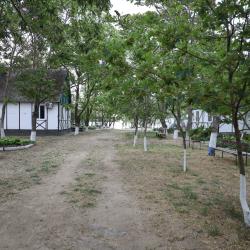 Фото Отель Оазис