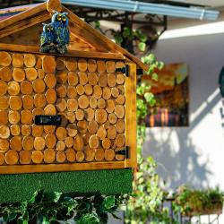 Фото Отель Platan (Платан)