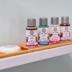 Номер люкс семейный