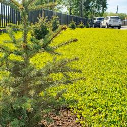 Фото Аэроотель