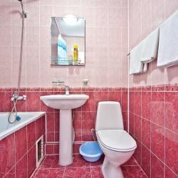 Номер люкс с 1 односпальной и 1 двуспальной кроватью (с завтраком)