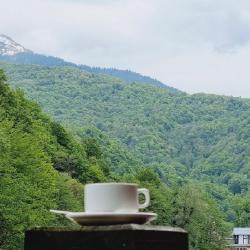 Фото Русские Сезоны Бутик-Отель Лермонтов, Роза Хутор