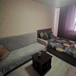 Фото Апартаменты на улице Тундровая 11