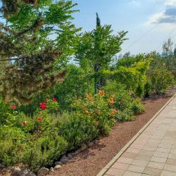 Фото Отель Жуковка