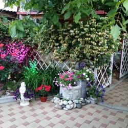 Фото Отель Комнаты