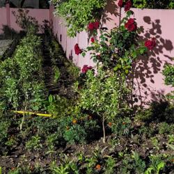 Фото Отель Розовая лагуна