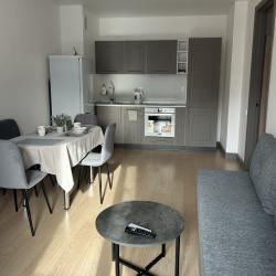 Фото Апартаменты на улице 2-я Оранжерейная 4А