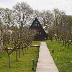 A-Frame 1