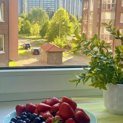 Фото Апартаменты на улице Артиллерийская 58А