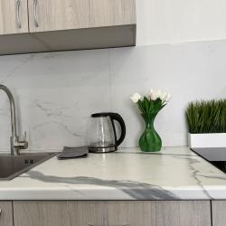 1-комнатные апартаменты студия г.Нижний Новгород ул.Бурнаковская д.111