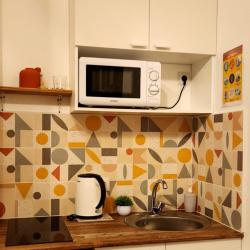 3-местные 1-комнатные апартаменты студия