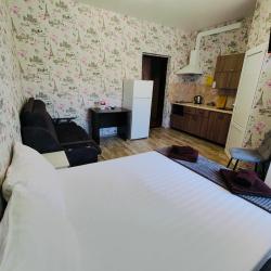 Комната студия с кухней классик