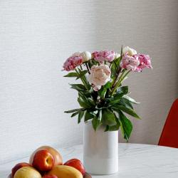 Фото Апартаменты на улице Ивана Беличенко 95 корпус 1