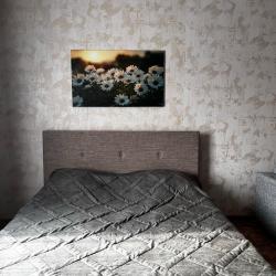 Фото Апартаменты на улице Линейная